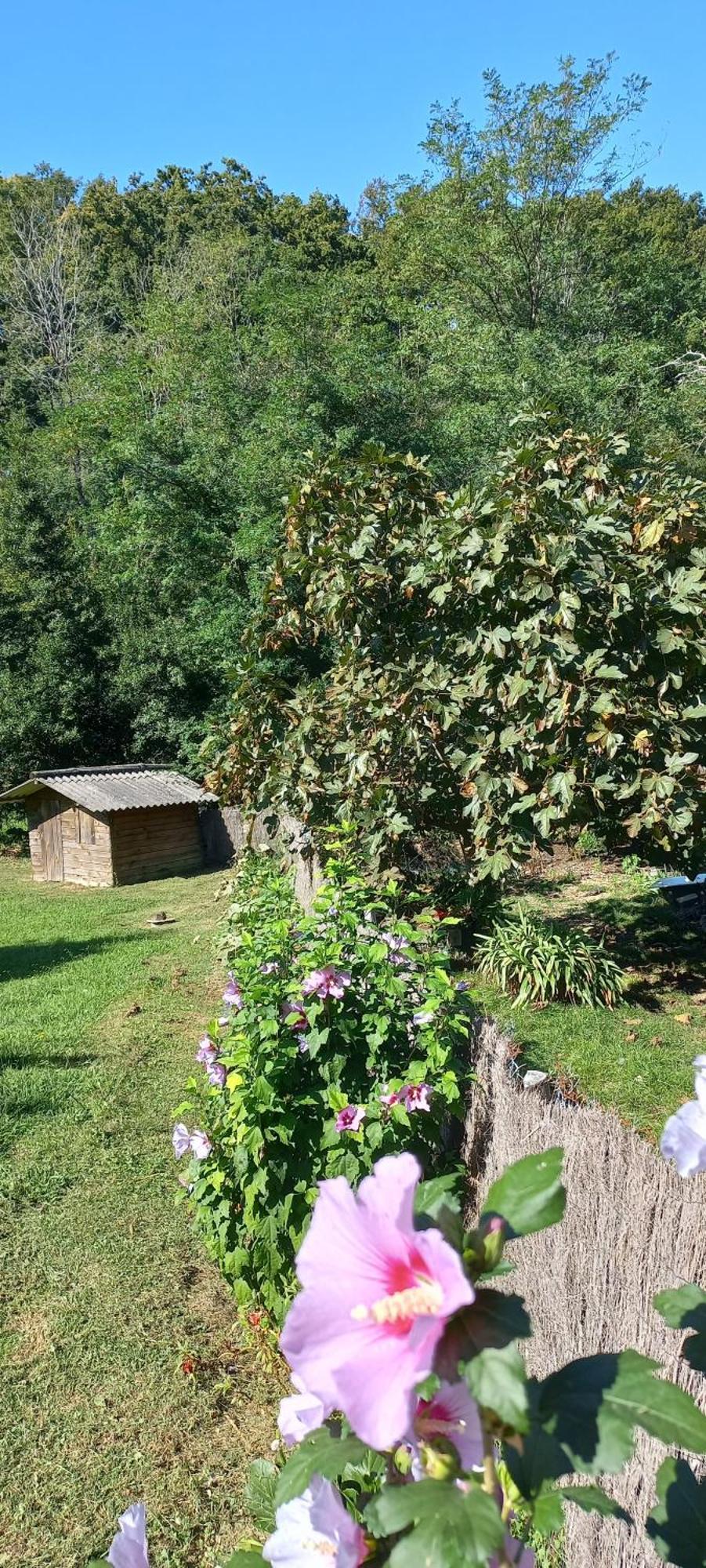 La Casa: Tranquil B&B with Private Parking and Garden Urrugne Exterior photo